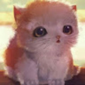 Meet your Posher, Janice